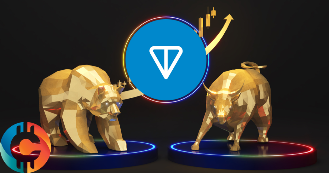 Whale Toncoin Bersiap Untuk Bull Run